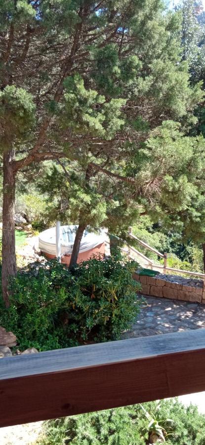 Villa Aloe 2 Costa Paradiso Exterior foto