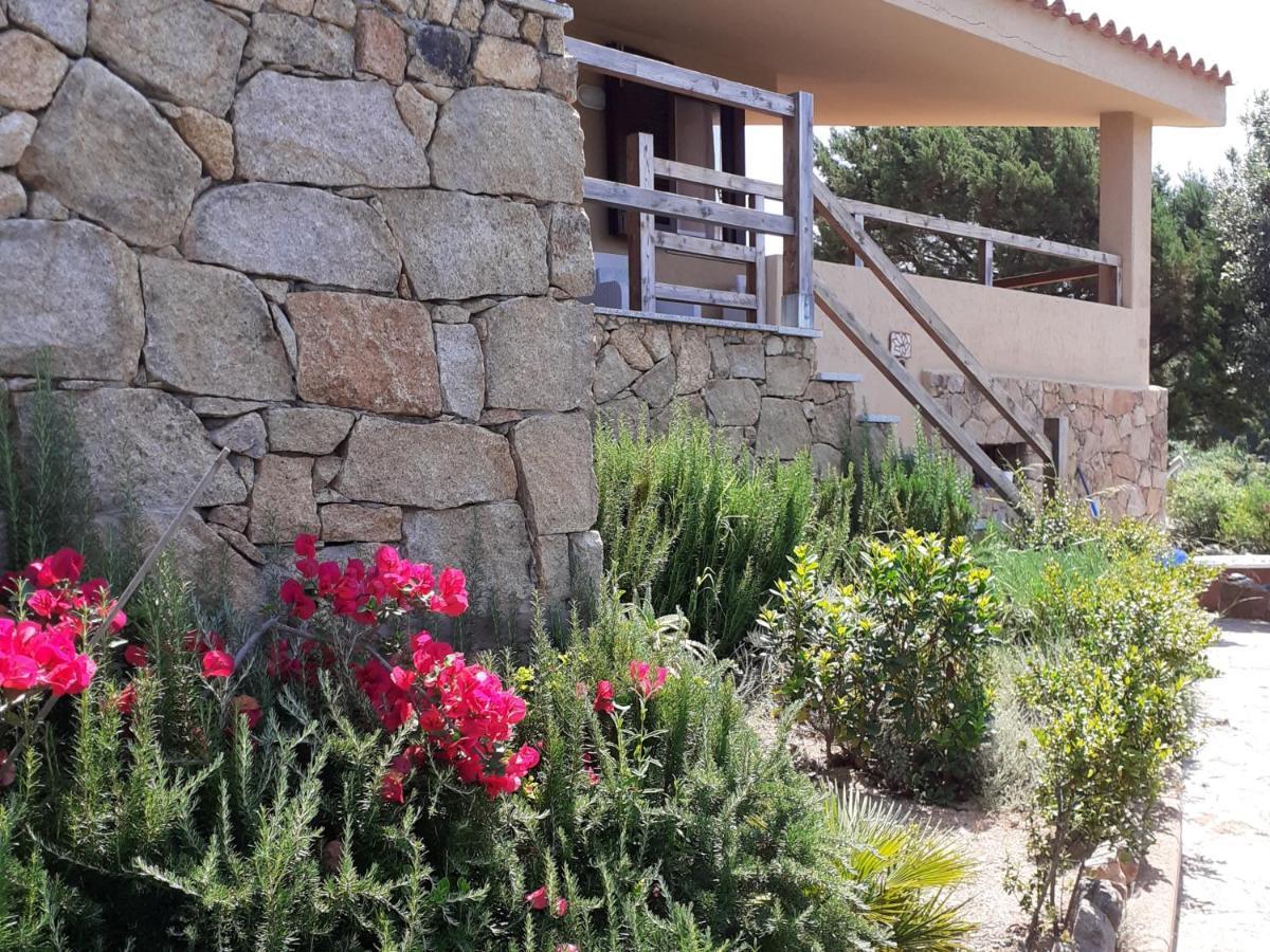 Villa Aloe 2 Costa Paradiso Exterior foto